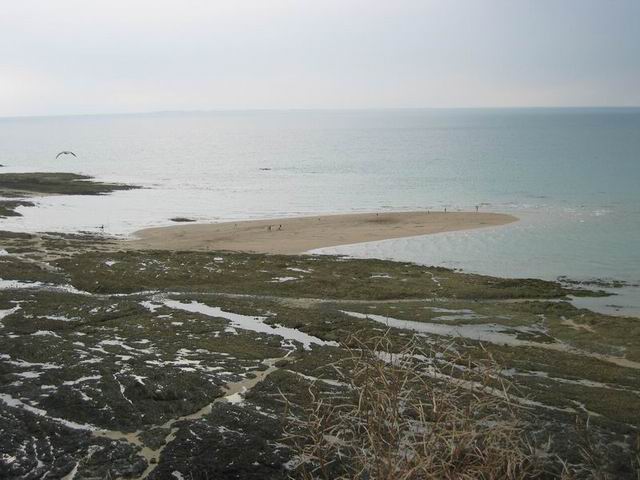 photo_016