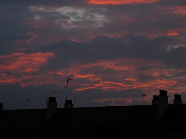 photo_106