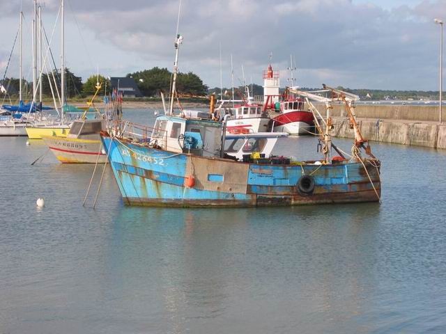 Port de St Jacques: celui-l, il en a vu !!