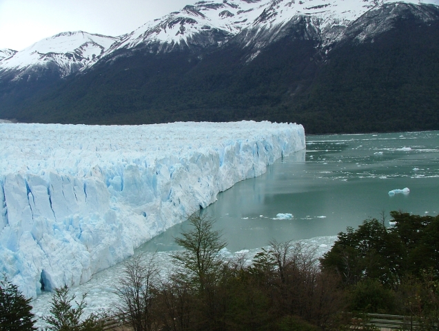 argentine_23