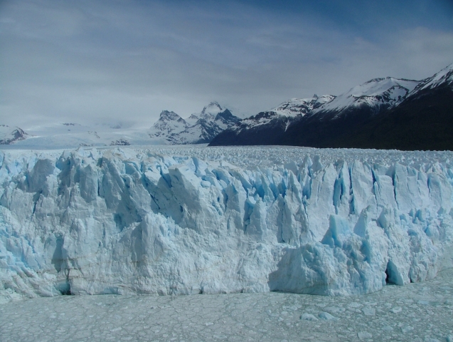 argentine_24